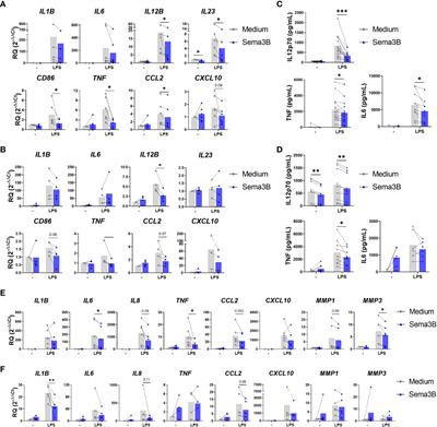 Semaphorin3B promotes an anti-inflammatory and pro-resolving phenotype in macrophages from rheumatoid arthritis patients in a MerTK-dependent manner